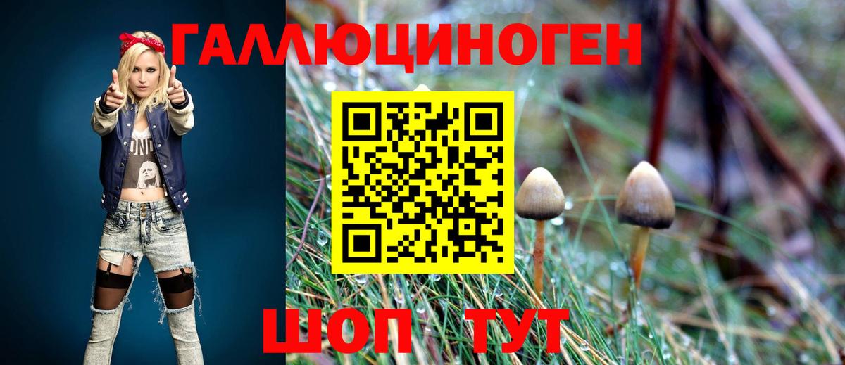 Вязники  Галлюциногенные грибы ЛСД  Псилоцибиновые грибы ЛСД  Вход с VPN 